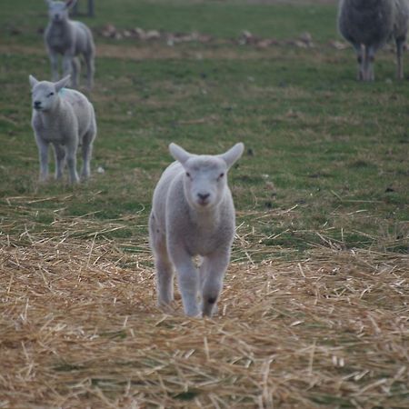 Woodhouse Farm Lodge Spalding Dış mekan fotoğraf